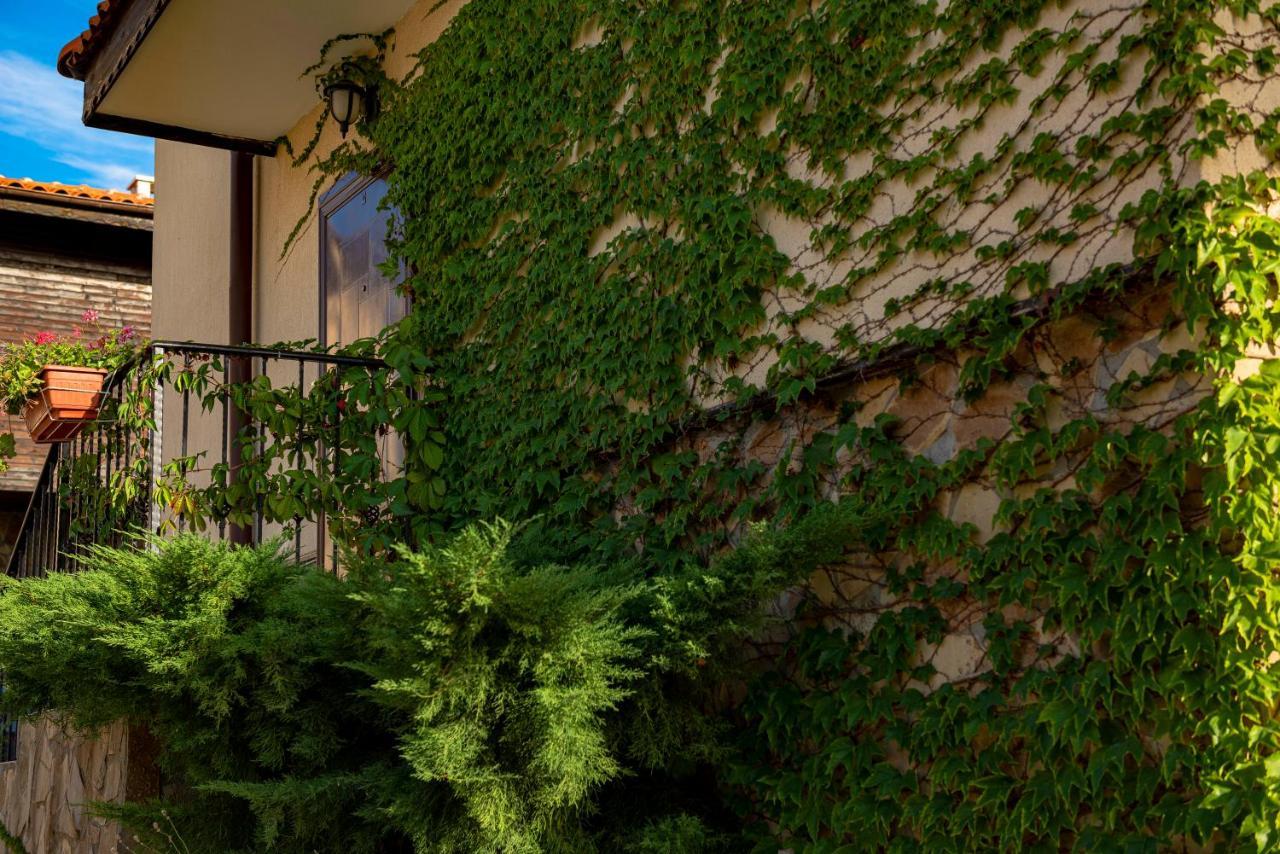 Menada Sunny Hill Villa Кошарица Экстерьер фото